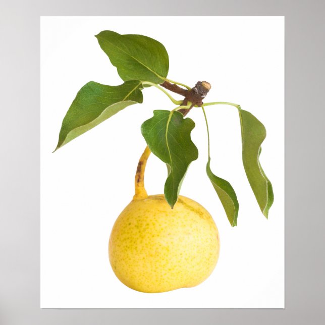 Affiche Wild pear (Devant)