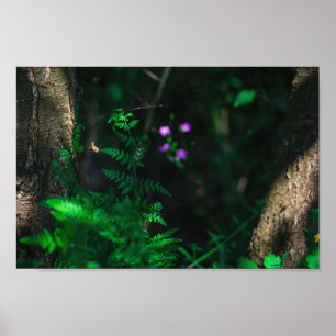 Affiche Wild Purple Water Forest Flowers Fern