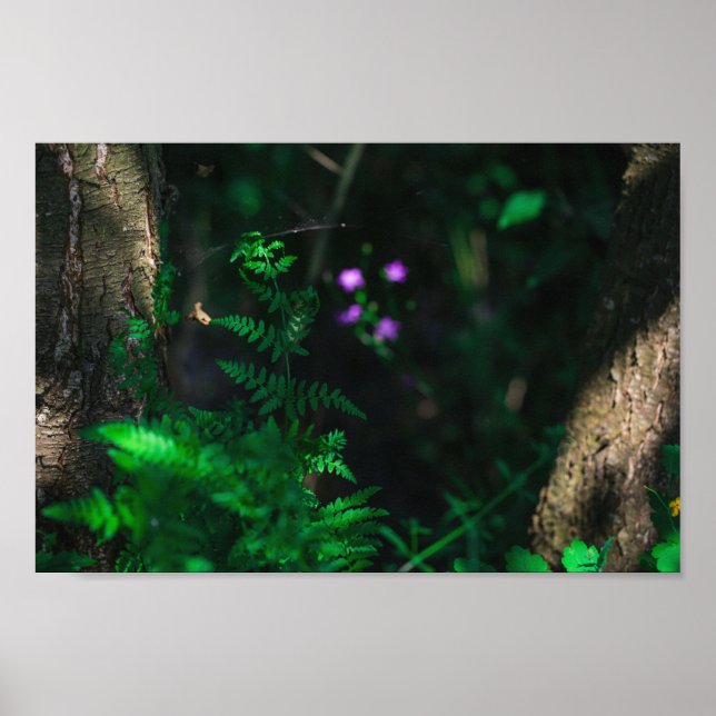 Affiche Wild Purple Water Forest Flowers Fern (Devant)