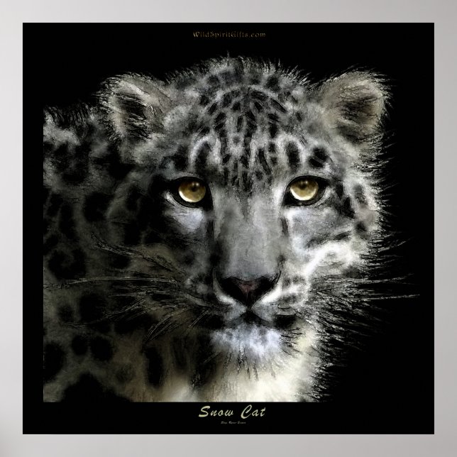 Affiche WILD SNOW LEOPARD Art Imprimer (Devant)