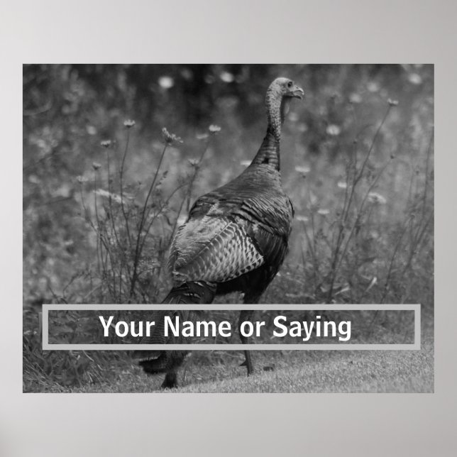 Affiche Wild Turkey B&W photo (Devant)