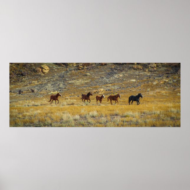 Affiche Wild West (Devant)