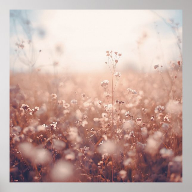 Affiche Wildflower Dreamscape  (Devant)