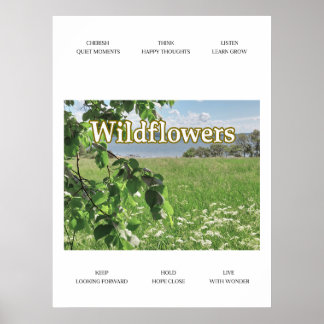 Affiche Wildflowers