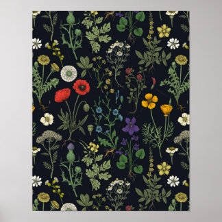 Affiche Wildflowers collage