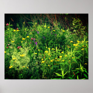 Affiche Wildflowers In Field Floral