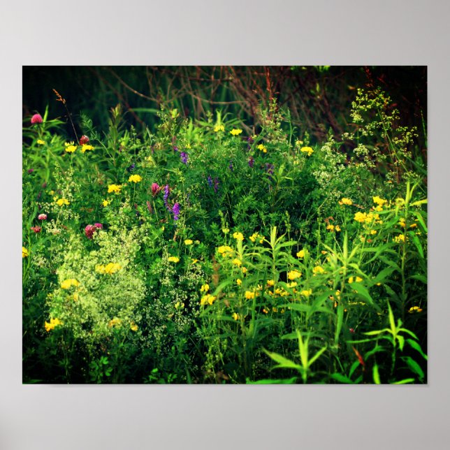 Affiche Wildflowers In Field Floral  (Devant)
