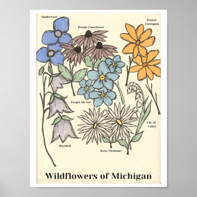 Affiche Wildflowers of Michigan Hand Drawn Art Print (Devant)