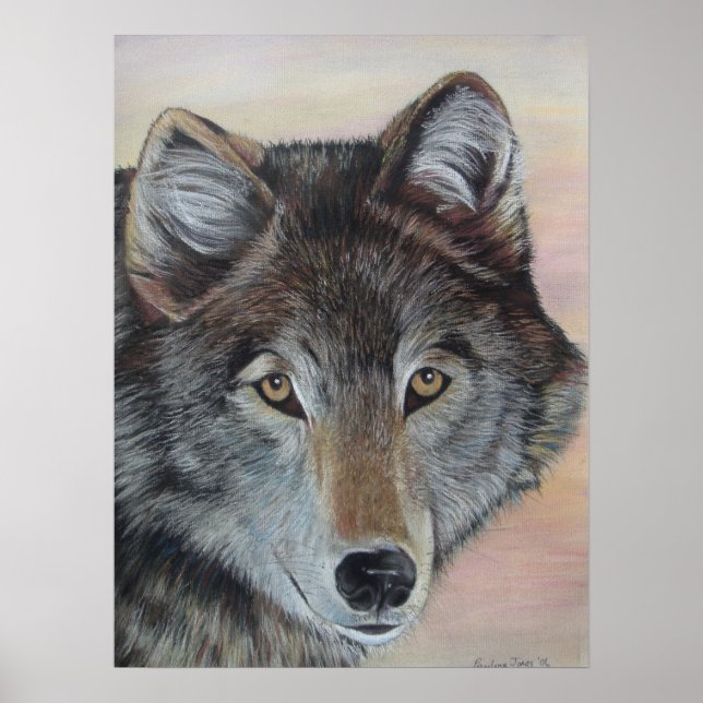 Affiche wildlife painting of gray wolf (Devant)