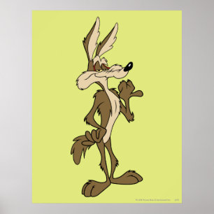 AFFICHE WILE E. COYOTE™ A L'AIR FIER