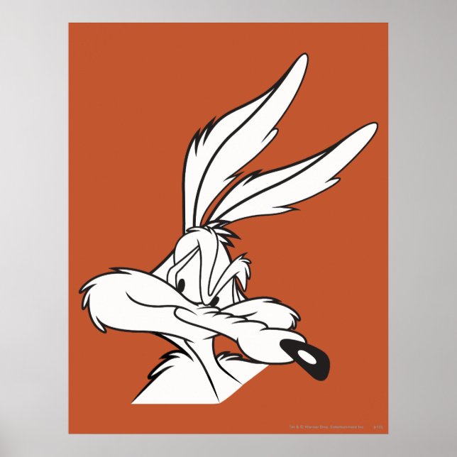 Affiche Wile E. Coyote A l'air sournois (Devant)