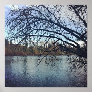 Affiche Willamette