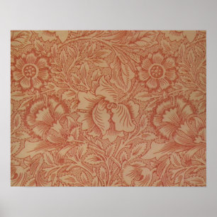 Affiche William Morris Fleur de pavot rose Floral