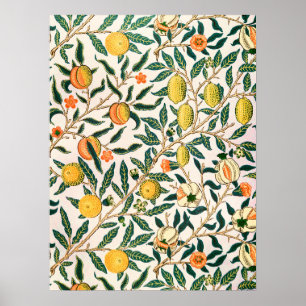 Affiche William Morris Fruit grenade Ornement blanc