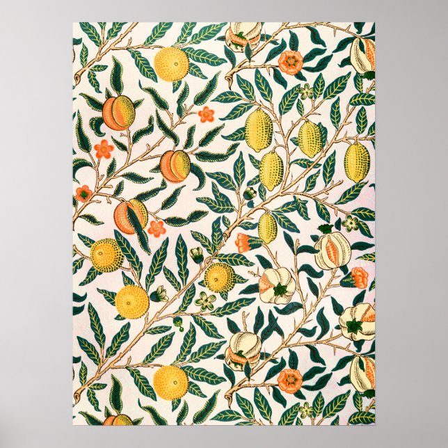 Affiche William Morris Fruit grenade Ornement blanc (Devant)