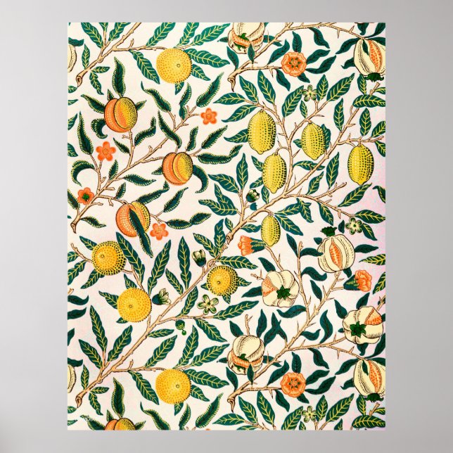 Affiche William Morris Fruit Pomegranate Vintage  (Devant)