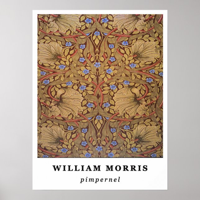 Affiche William Morris Pimpernel (Devant)