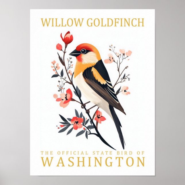 Affiche Willow Goldfinch Bird de Washington Travel (Devant)