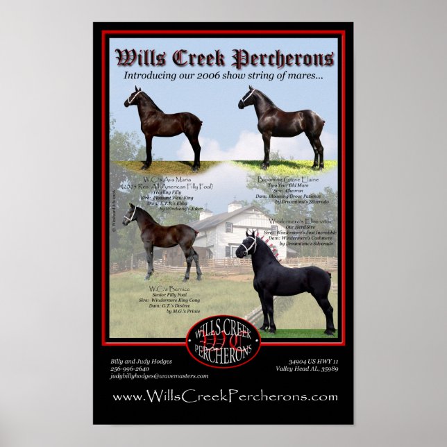 AFFICHE WILLS CREEK PERCHERONS 2006 SHOW STRING (Devant)