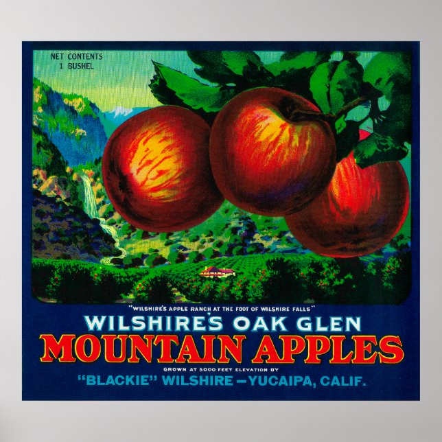 Affiche Wilshire's Oak Glen Apple Crate Étiquette (Devant)