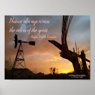 Affiche Windmill Saguaro Cactus Skeleton Arizona Sunset