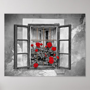 Affiche window-477937 window house black and white flowers