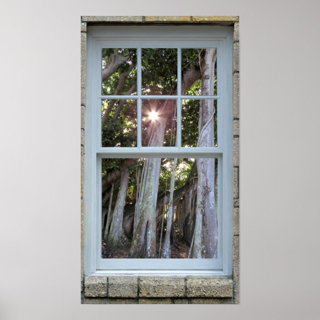 Affiche Window view Banyan tree Starburst Print (Devant)