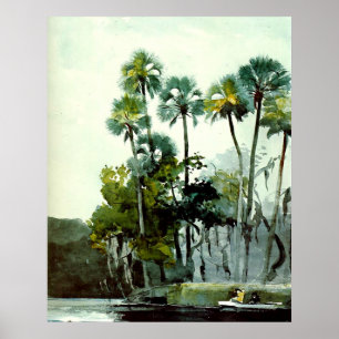 Affiche Winslow Homer - Homosassa River