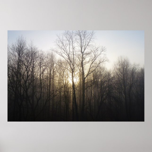 Affiche Winter Fog Sunrise Nature Photographie (Devant)