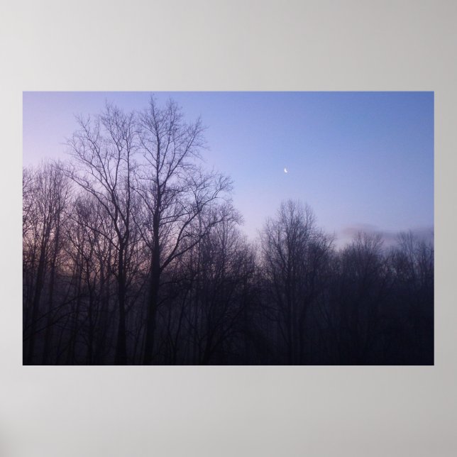 Affiche Winter Moon Matin Paysage Photographie (Devant)