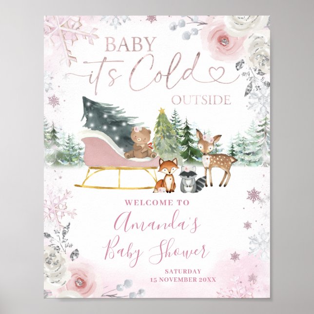 Affiche Winter Pink Snowflake Sleigh Baby Shower Welcome (Devant)