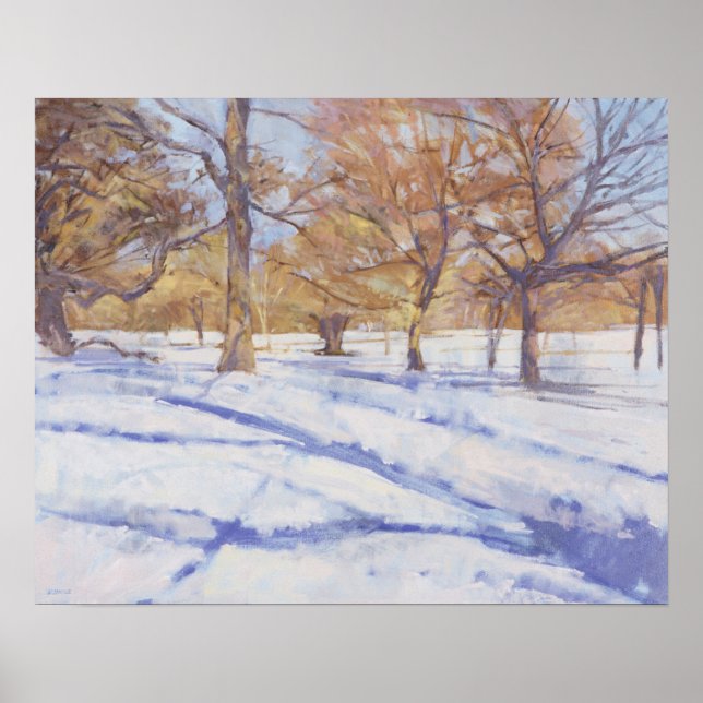 Affiche Winter Richmond Park (Devant)