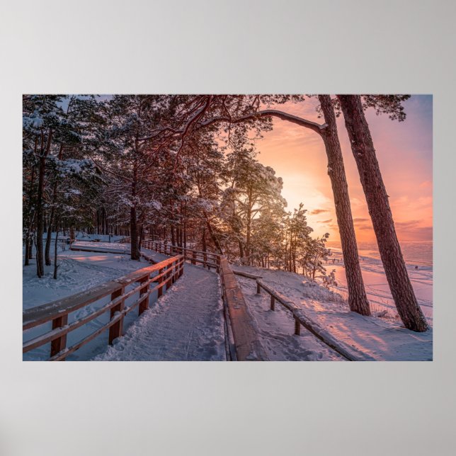 Affiche Winter sunset in pine forest near sea (Devant)