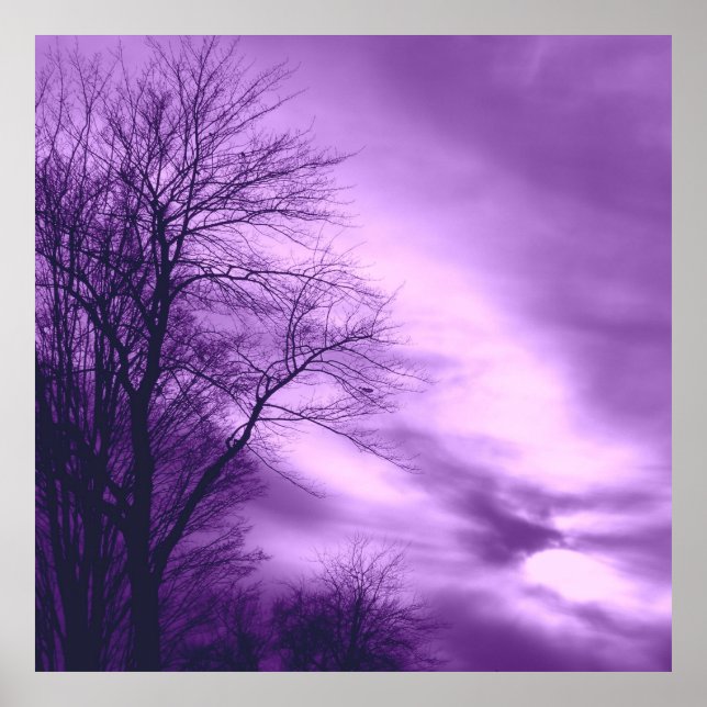 Affiche Winter Tree and Sky in Purple  (Devant)