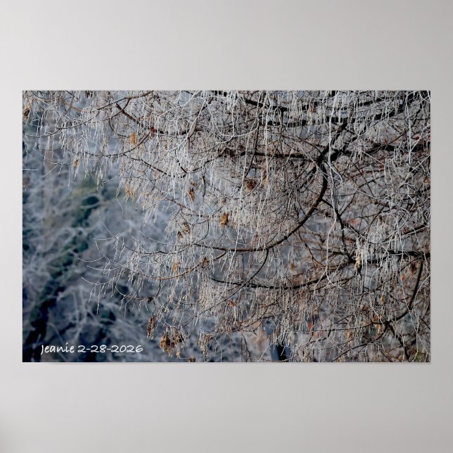 Affiche Winter wonderland (Devant)