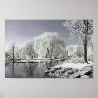 Affiche Winter Wonderland