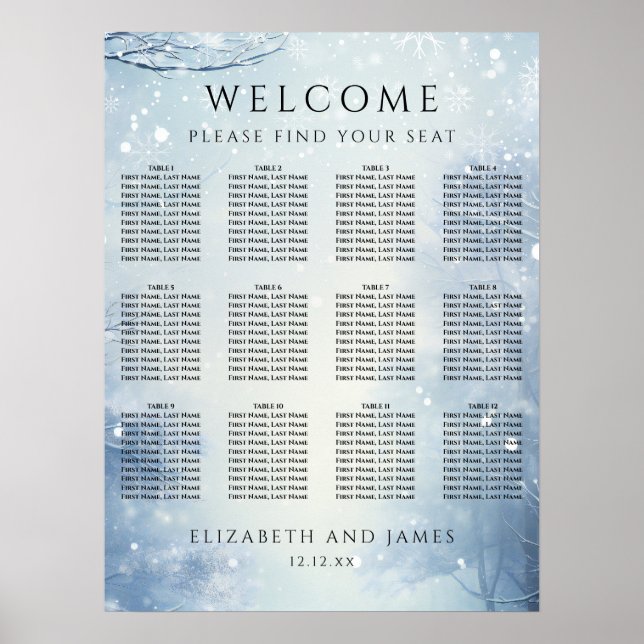 Affiche Winter Wonderland Forest Wedding Seating Chart (Devant)