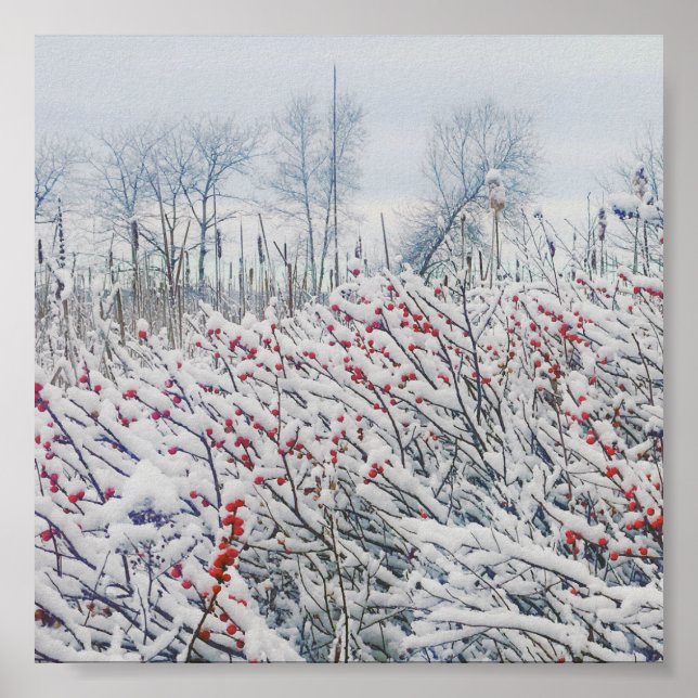 Affiche winterberry and cattails (Devant)
