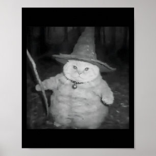 Affiche Wizard Cat Weird Drôle Halloween Cat Meme