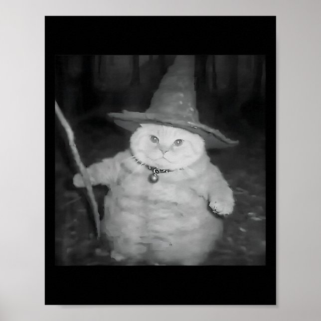 Affiche Wizard Cat Weird Drôle Halloween Cat Meme (Devant)