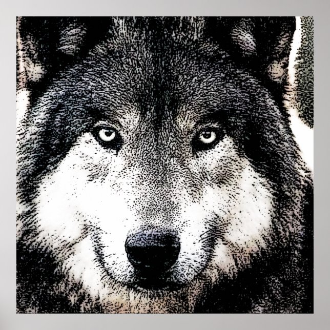Affiche Wolf Eyes - Art animalier noir et blanc (Devant)