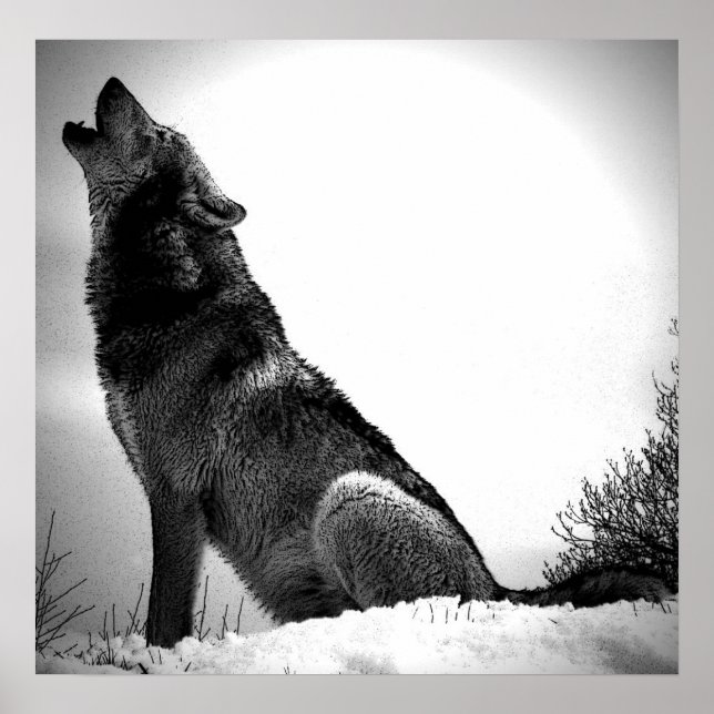 Affiche Wolf Howat at Moon Imprimer - Affiche Wolf (Devant)