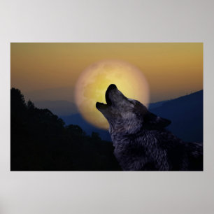 Affiche Wolf hurle sur la lune
