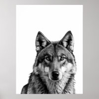 Wolf Modern Portrait noir blanc