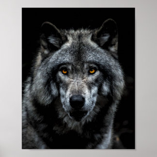 Affiche Wolf Orange Yeux Nature animale sauvage
