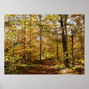 Affiche Wolf Rocks Trail en automne Pennsylvanie Paysage