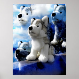 Affiche Wolf Spirits