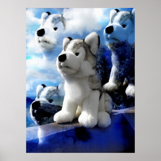 Affiche Wolf Spirits (Devant)