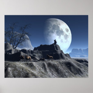 Affiche Wolfy
