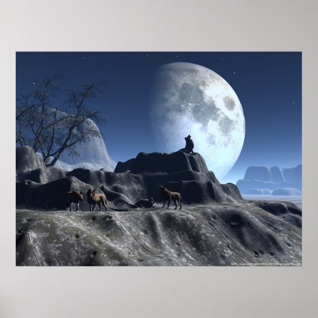 Affiche Wolfy (Devant)